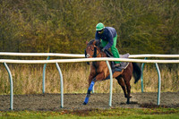 27th Nov Al Bahathri 003