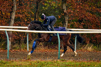 27th Nov Al Bahathri 003