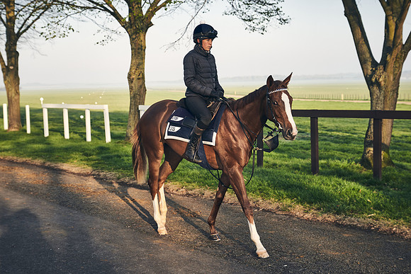 GEORGE-BOUGHEY-RACING-DJ-0635