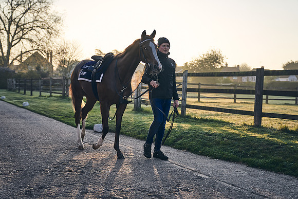 GEORGE-BOUGHEY-RACING-DJ-0228