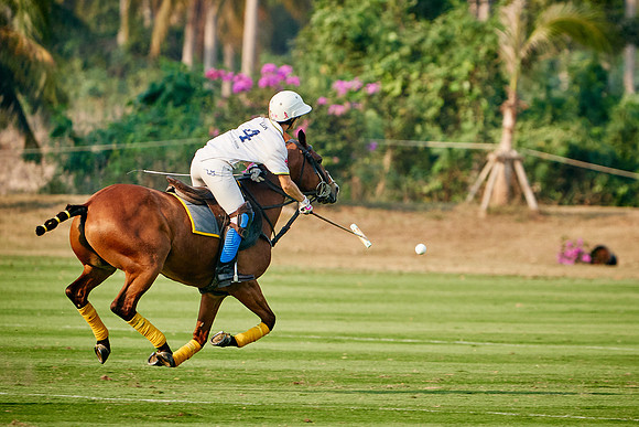 THAI-PINK-POLO-2020-Dominic-James_DJ95100.ARW-10622