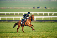 22nd Mar 22 Warren Hill Grass 001