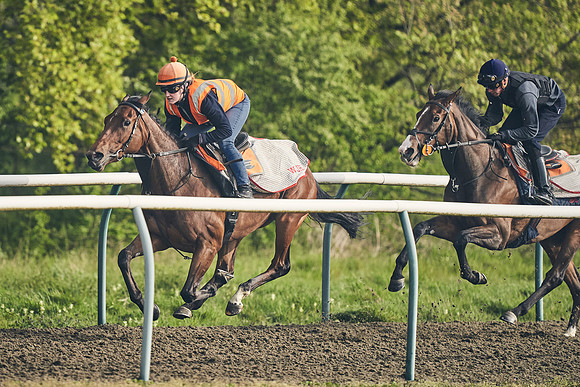 NEWMARKET-GALLOPS-24nd-APRIL-DJ-0676