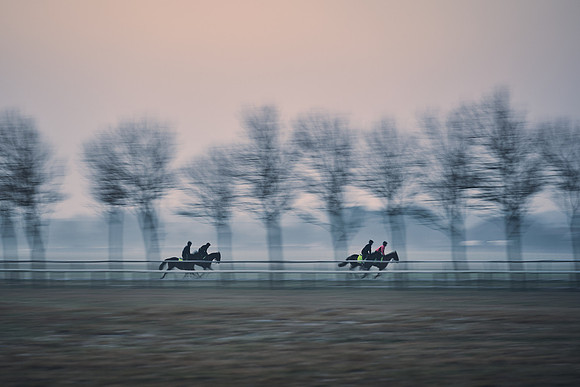Southfields-002-Dominic-James-Horse-In-Training-3643