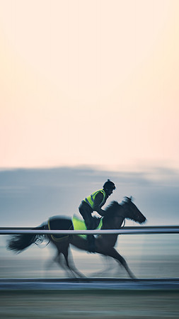 Southfields-002-Dominic-James-Horse-In-Training-3673