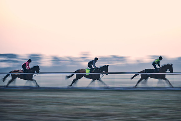 Southfields-002-Dominic-James-Horse-In-Training-3686