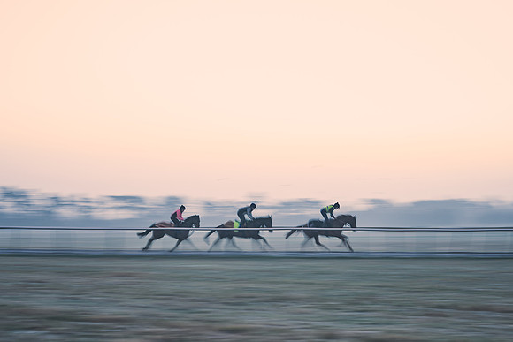 Southfields-002-Dominic-James-Horse-In-Training-3713