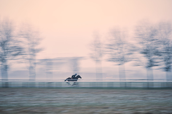 Southfields-002-Dominic-James-Horse-In-Training-3747