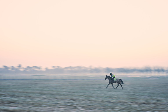 Southfields-002-Dominic-James-Horse-In-Training-3809