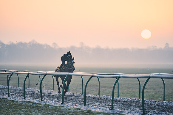 Southfields-002-Dominic-James-Horse-In-Training-3844