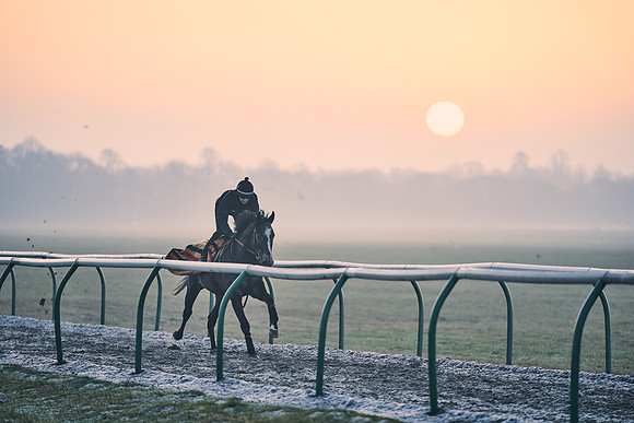 Southfields-002-Dominic-James-Horse-In-Training-3845