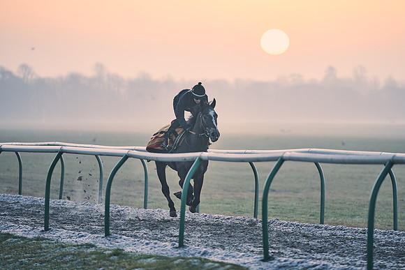 Southfields-002-Dominic-James-Horse-In-Training-3847