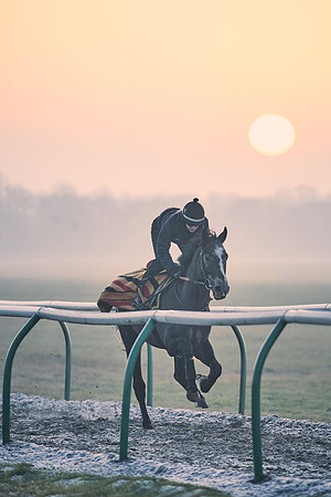 Southfields-002-Dominic-James-Horse-In-Training-3848