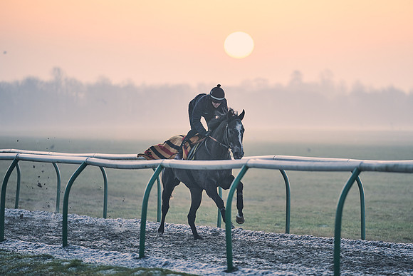 Southfields-002-Dominic-James-Horse-In-Training-3849