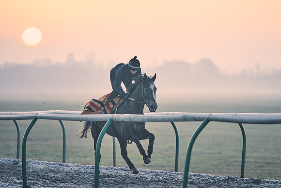Southfields-002-Dominic-James-Horse-In-Training-3854