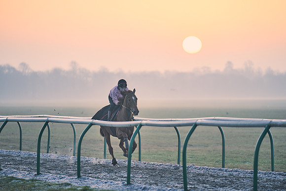 Southfields-002-Dominic-James-Horse-In-Training-3860