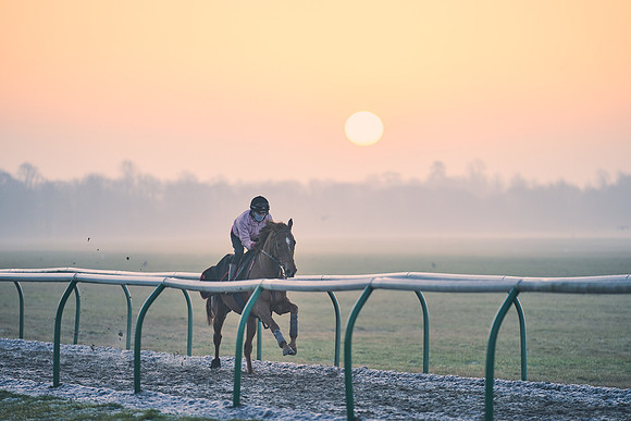 Southfields-002-Dominic-James-Horse-In-Training-3861