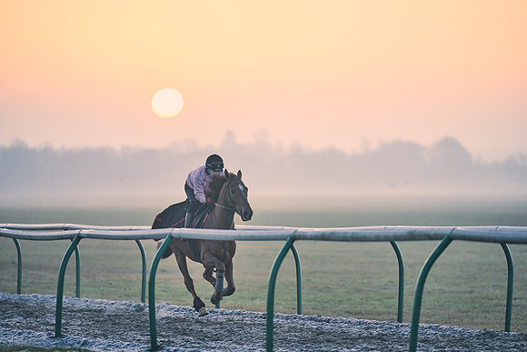 Southfields-002-Dominic-James-Horse-In-Training-3864
