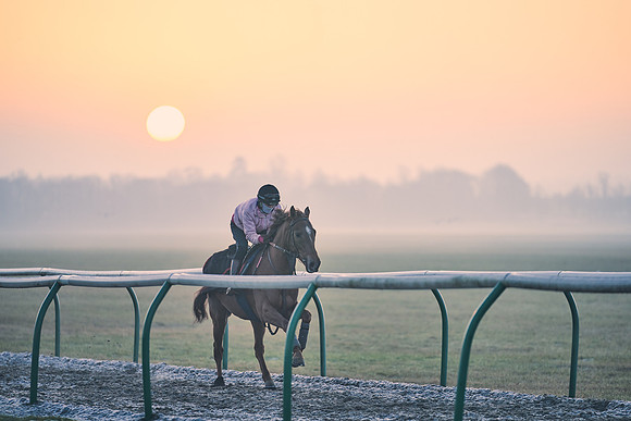 Southfields-002-Dominic-James-Horse-In-Training-3865