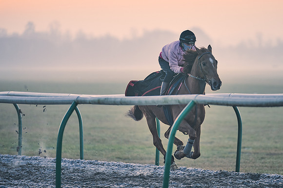 Southfields-002-Dominic-James-Horse-In-Training-3867