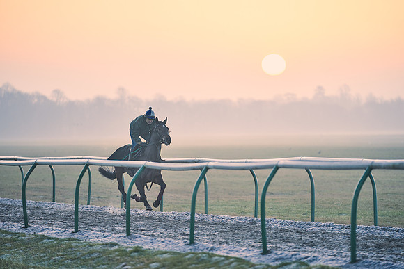 Southfields-002-Dominic-James-Horse-In-Training-3871