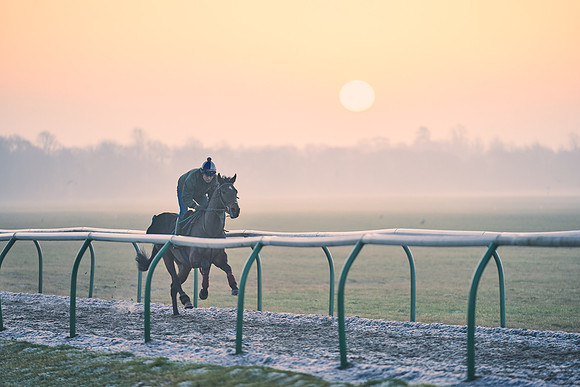 Southfields-002-Dominic-James-Horse-In-Training-3872