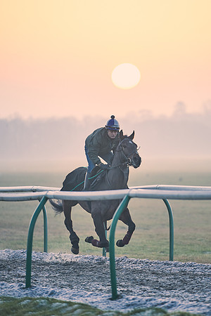 Southfields-002-Dominic-James-Horse-In-Training-3874