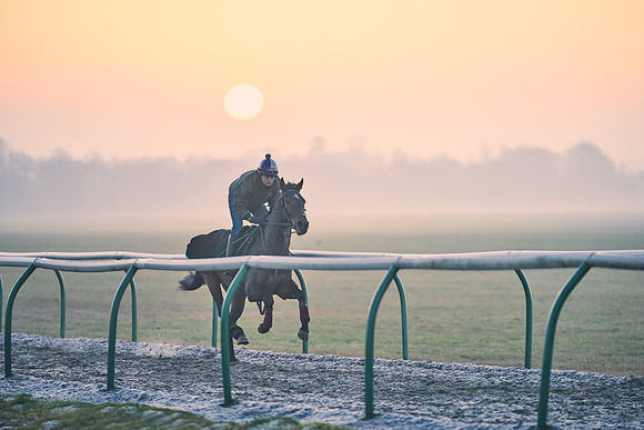 Southfields-002-Dominic-James-Horse-In-Training-3875