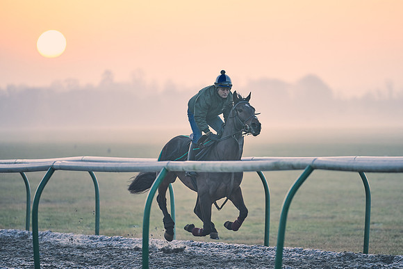 Southfields-002-Dominic-James-Horse-In-Training-3877