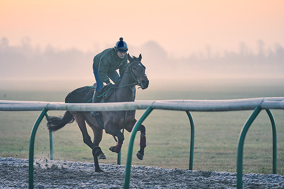 Southfields-002-Dominic-James-Horse-In-Training-3878
