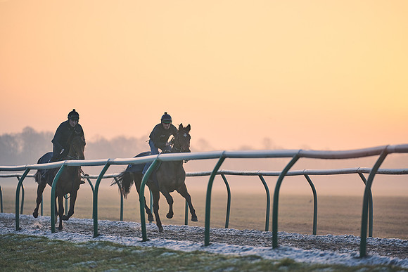 Southfields-002-Dominic-James-Horse-In-Training-3886