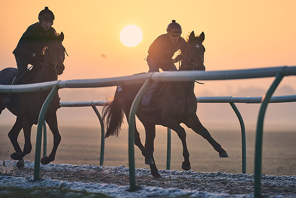 Southfields-002-Dominic-James-Horse-In-Training-3893