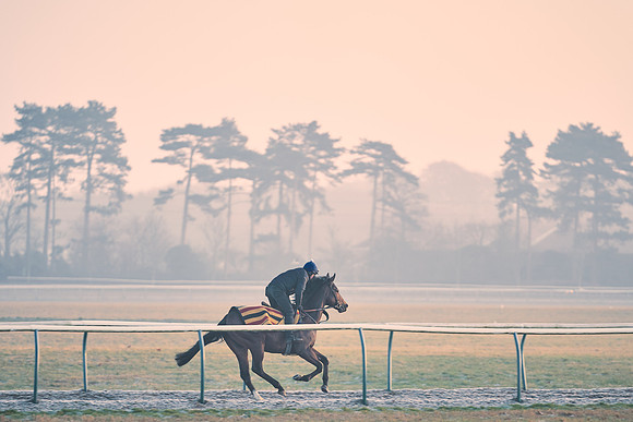 Southfields-002-Dominic-James-Horse-In-Training-3921