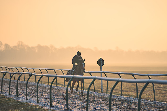 Southfields-002-Dominic-James-Horse-In-Training-3932