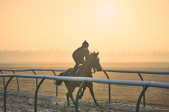 Southfields-002-Dominic-James-Horse-In-Training-3933