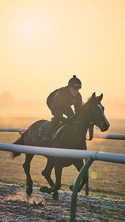 Southfields-002-Dominic-James-Horse-In-Training-3936