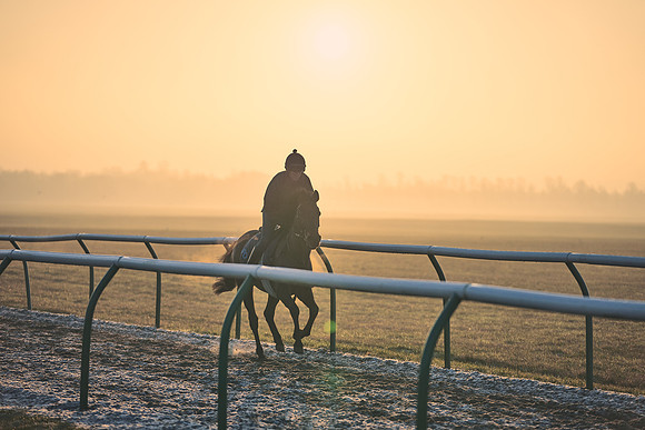 Southfields-002-Dominic-James-Horse-In-Training-3941
