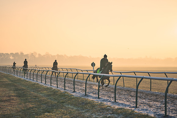 Southfields-002-Dominic-James-Horse-In-Training-3944