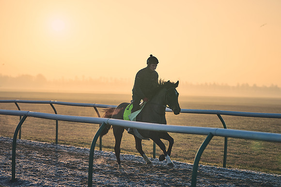 Southfields-002-Dominic-James-Horse-In-Training-3946