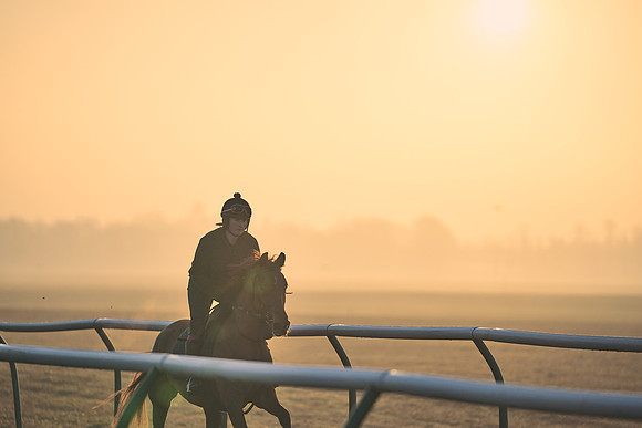 Southfields-002-Dominic-James-Horse-In-Training-3947