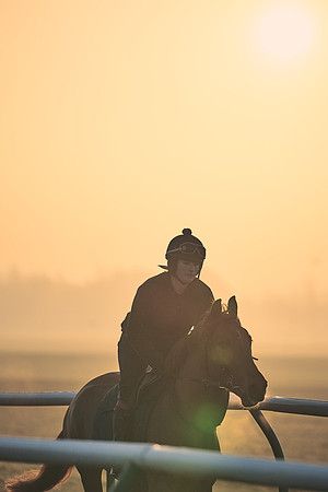 Southfields-002-Dominic-James-Horse-In-Training-3949