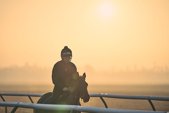 Southfields-002-Dominic-James-Horse-In-Training-3952