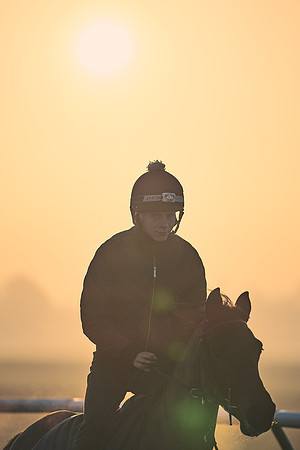 Southfields-002-Dominic-James-Horse-In-Training-3955