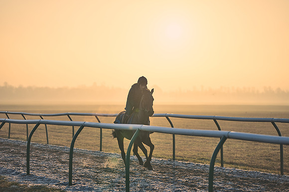 Southfields-002-Dominic-James-Horse-In-Training-3956