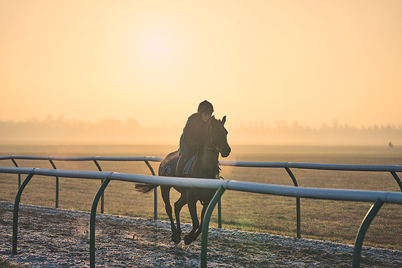Southfields-002-Dominic-James-Horse-In-Training-3957
