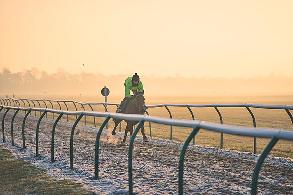 Southfields-002-Dominic-James-Horse-In-Training-3965