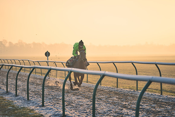 Southfields-002-Dominic-James-Horse-In-Training-3966