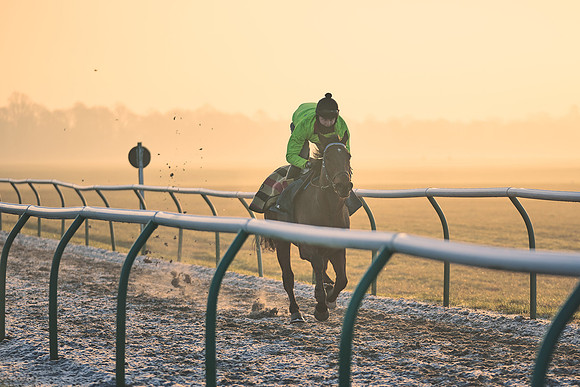 Southfields-002-Dominic-James-Horse-In-Training-3967
