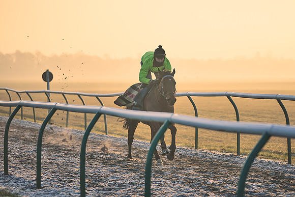 Southfields-002-Dominic-James-Horse-In-Training-3968