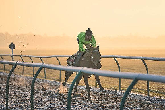 Southfields-002-Dominic-James-Horse-In-Training-3969